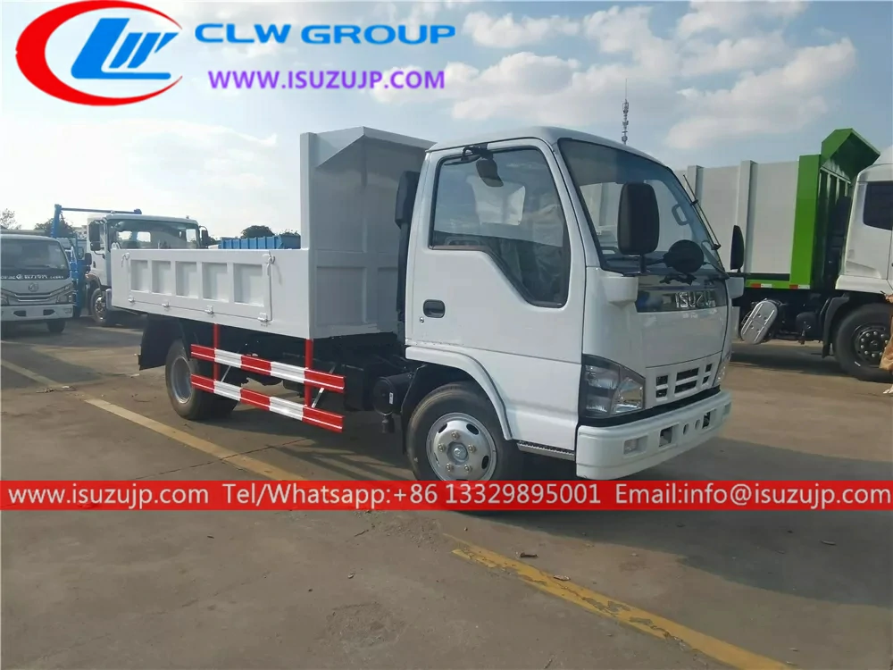 4x4 Isuzu 5 ton excavator dump truck 4x4 Isuzu 5 ton excavator dump truck