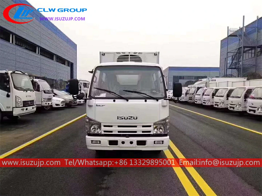ISUZU Double cabin small freezer trucks ISUZU Double cabin small freezer trucks