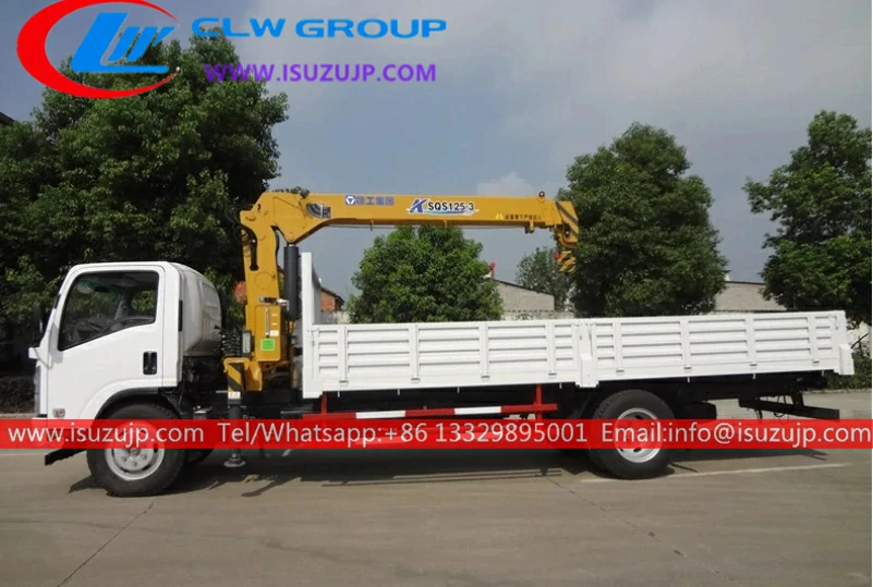 ISUZU ELF 6.3 ton basket crane truck ISUZU ELF 6.3 ton basket crane truck
