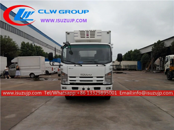 ISUZU NPR 30m3 freezer van ISUZU NPR 30m3 freezer van