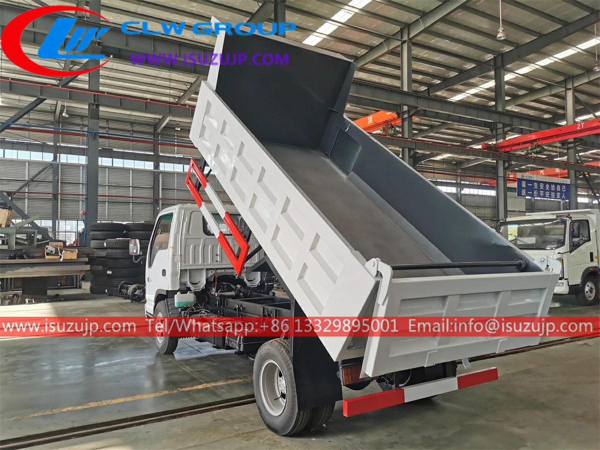 Isuzu 3cbm custom dump truck Nigeria Isuzu 3cbm custom dump truck Nigeria