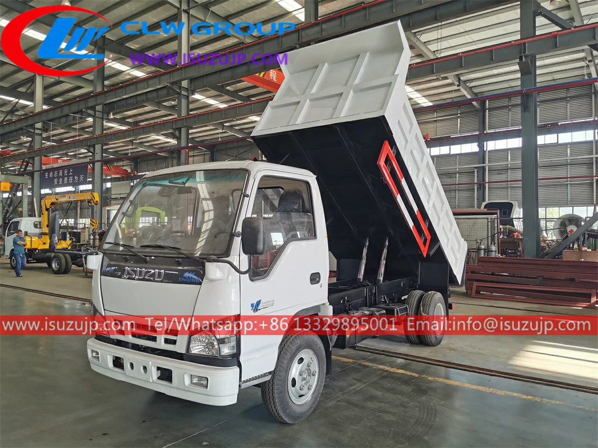 Isuzu 3m3 mini dump truck for sale Tunisia Isuzu 3m3 mini dump truck for sale Tunisia