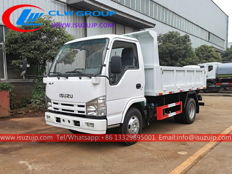 Isuzu mini dump truck for sale Isuzu mini dump truck for sale