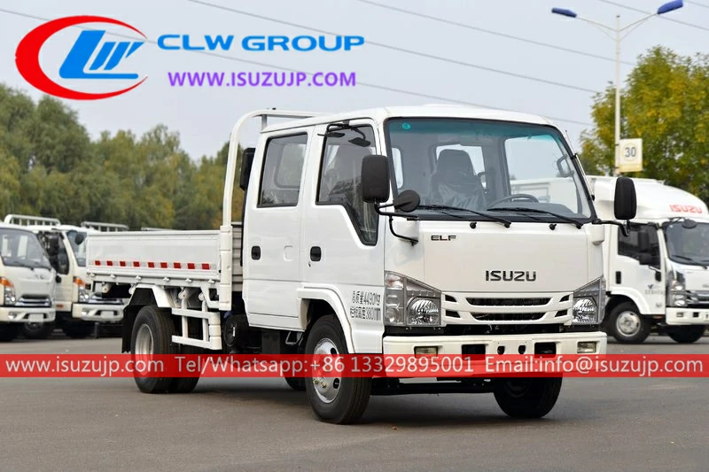 ISUZU Double cabin mini cargo truck ISUZU Double cabin mini cargo truck