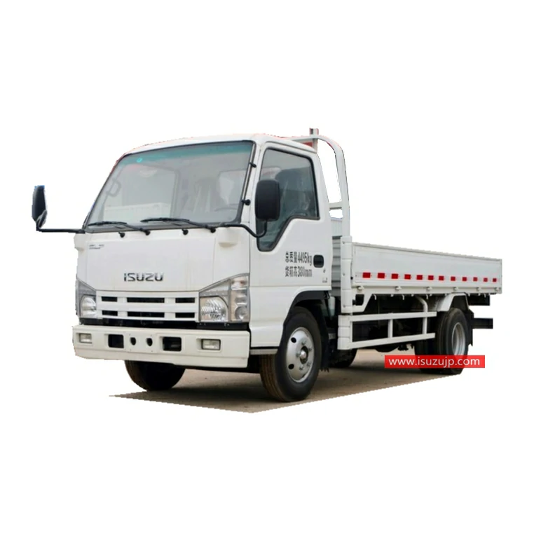 ISUZU NHR 3 ton cargo trucks for sale ISUZU NHR 3 ton cargo trucks for sale
