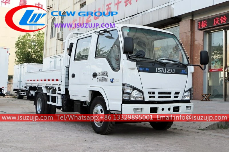 ISUZU NKR 5 tonne cargo container truck ISUZU NKR 5 tonne cargo container truck
