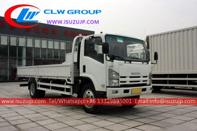 ISUZU NPR 8 ton cargo truck ISUZU NPR 8 ton cargo truck
