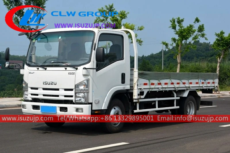 Isuzu KV600 6ton cargo container truck Isuzu KV600 6ton cargo container truck