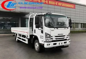 Isuzu QL1110ANLA cargo truck