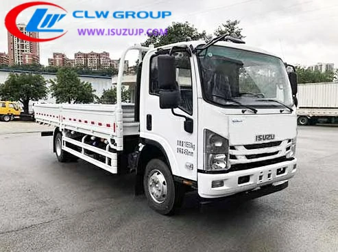 Isuzu QL1110ANMA cargo truck for sale